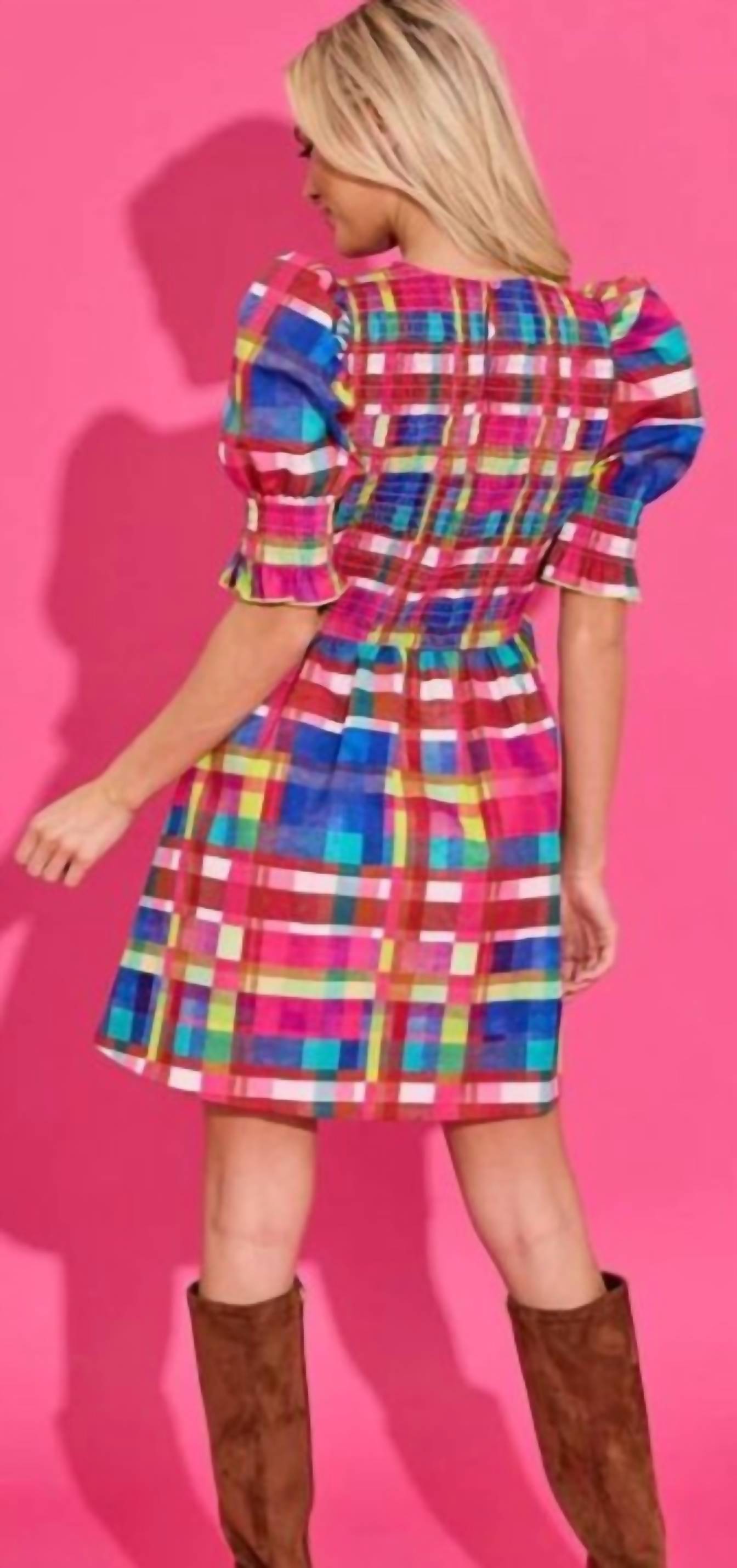Alden Adair Polly Dress in circus plaid 1 - women's dress - detail view