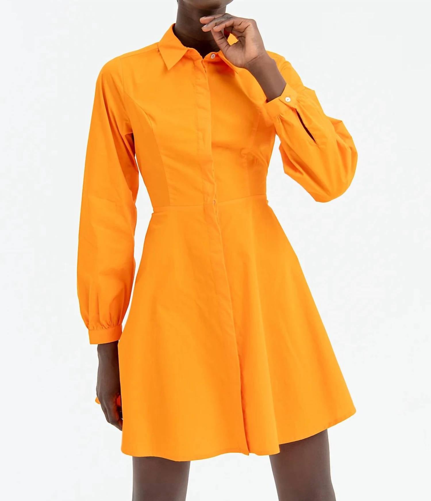 Fracomina - Chemisier Denim Mini Dress