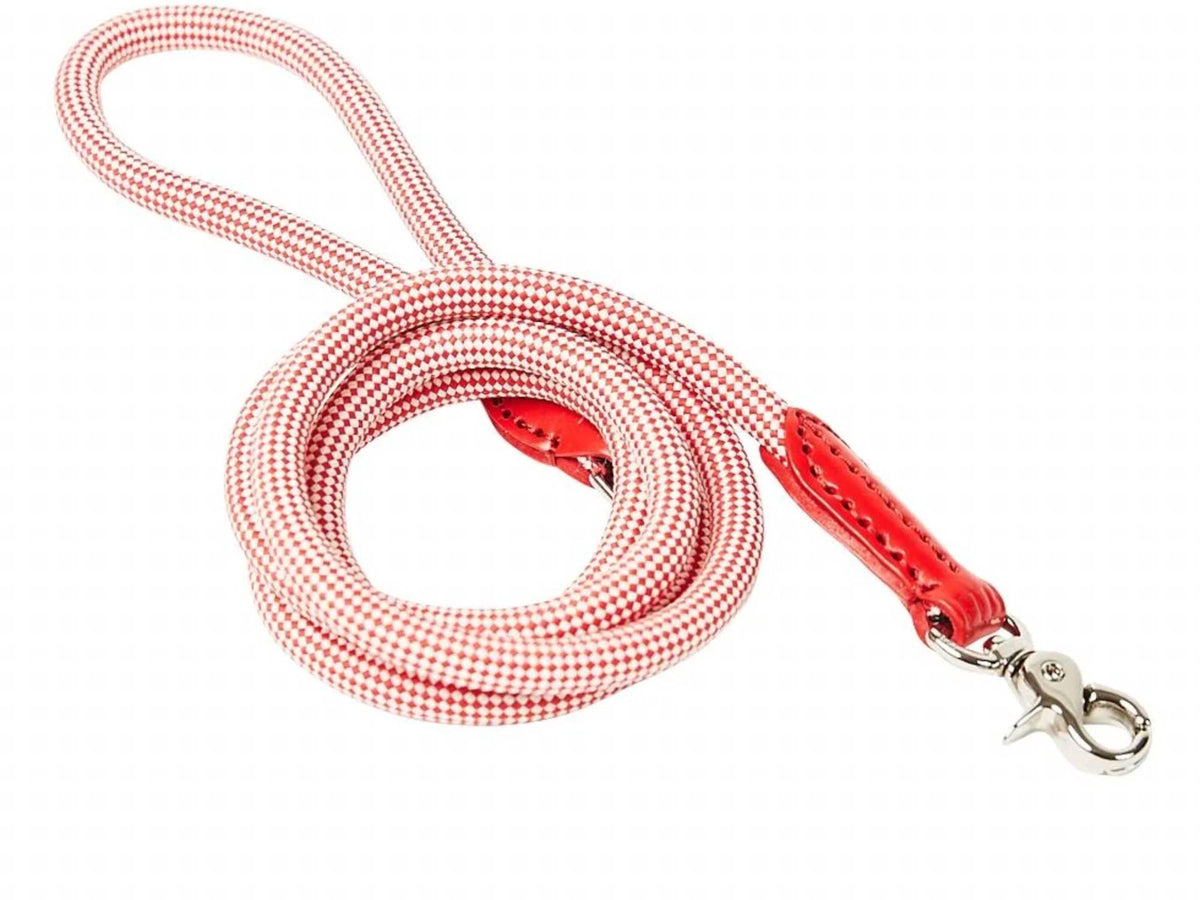 Harry Barker - Walkin' The Dog Rope Leash