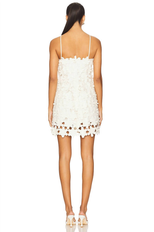 Alexis - Lily Mini Dress