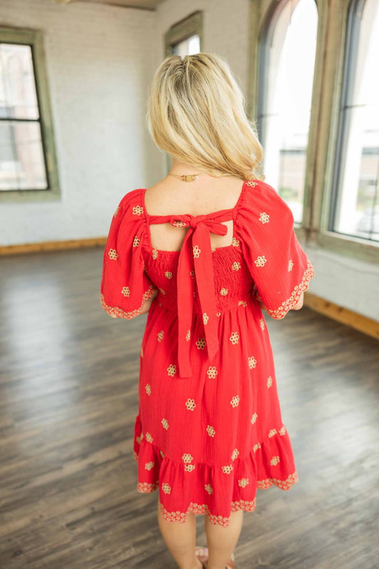 Easel - Jaycee Embroidered Cotton Gauze Mini Dress