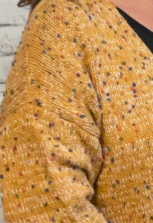 Blakeley - Confetti Cardigan -Plus