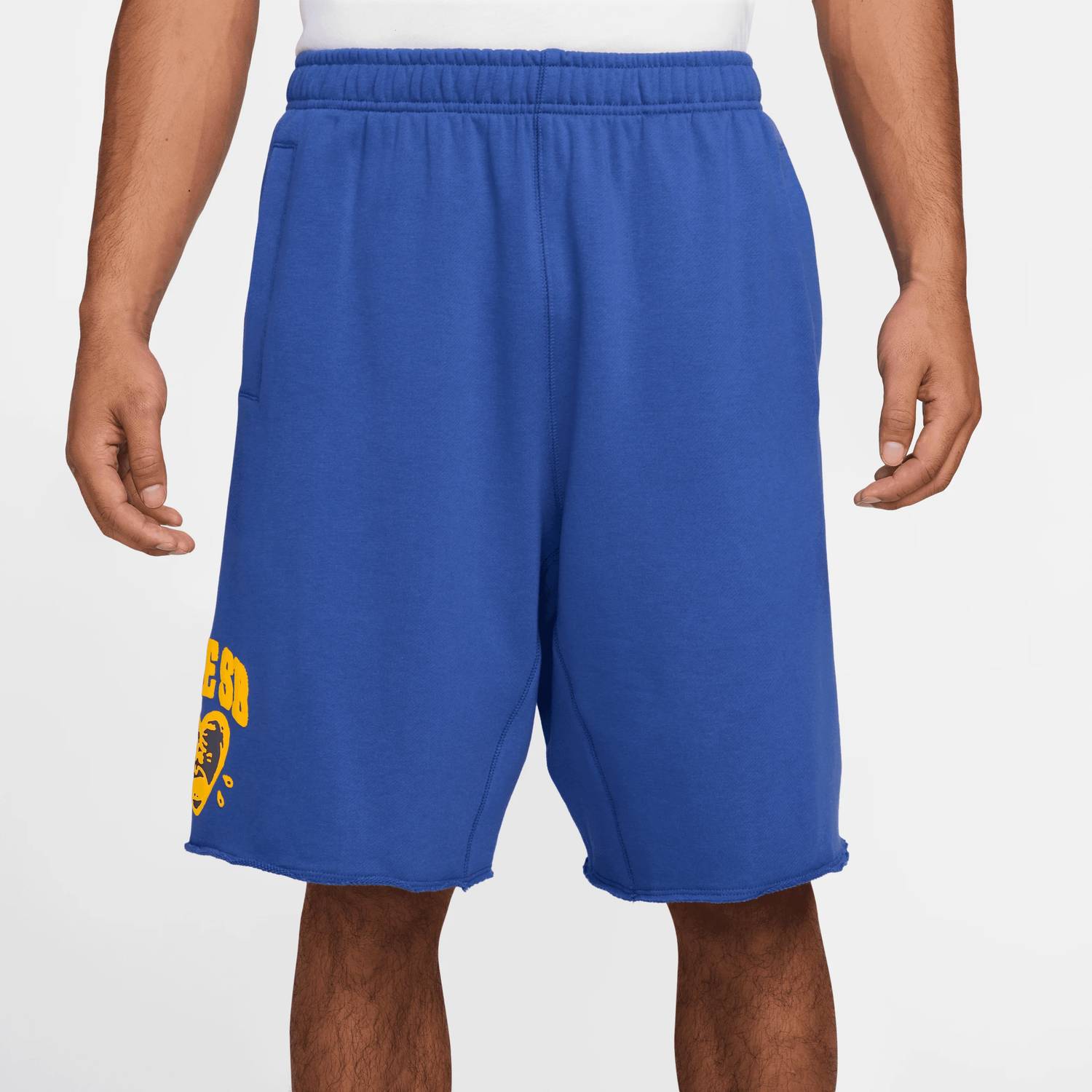 Nike - Sb Heart Skate Shorts