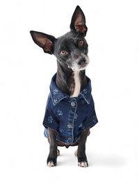 Dl1961 - Pet'S - FIDO CANINE TRUCKER JACKET