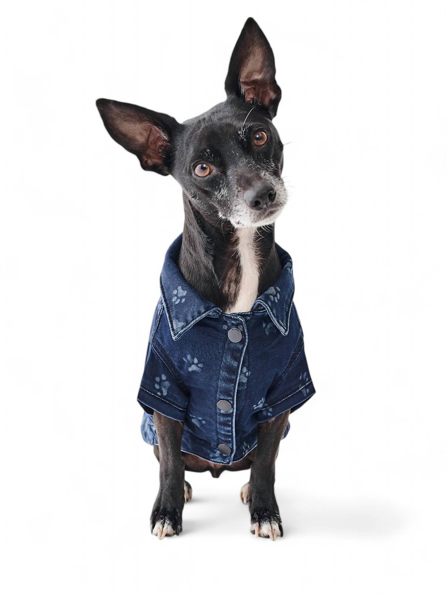 Dl1961 - Pet'S - FIDO CANINE TRUCKER JACKET