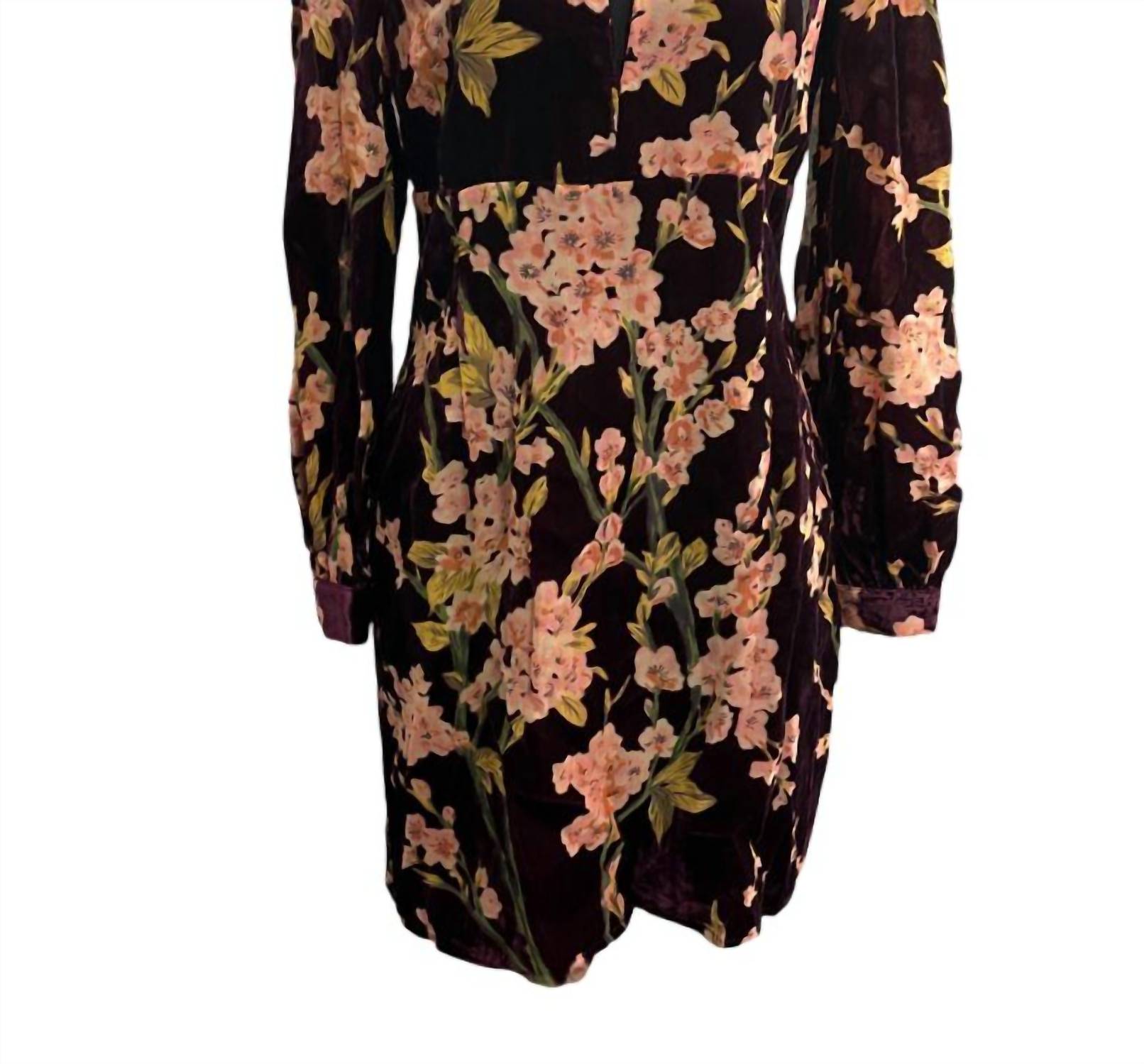 Adelyn Rae - Midnight Botanica Velvet Mini Dress