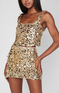 Show Me Your Mumu - Mixer Metallic Sequins Mini Skirt