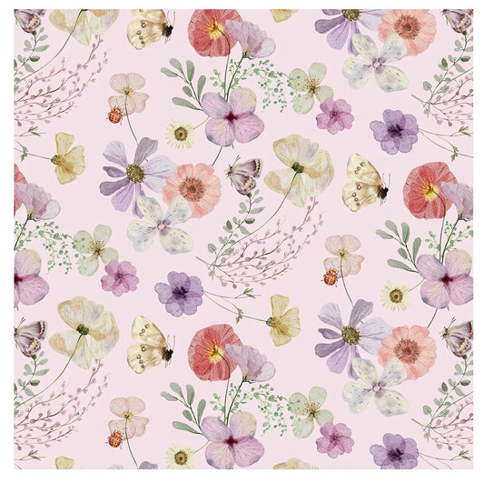 Kickee - Girl's Short Sleeve Playtime Outfit Set