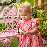 Pink Chicken - Baby Girls Jennifer Dress