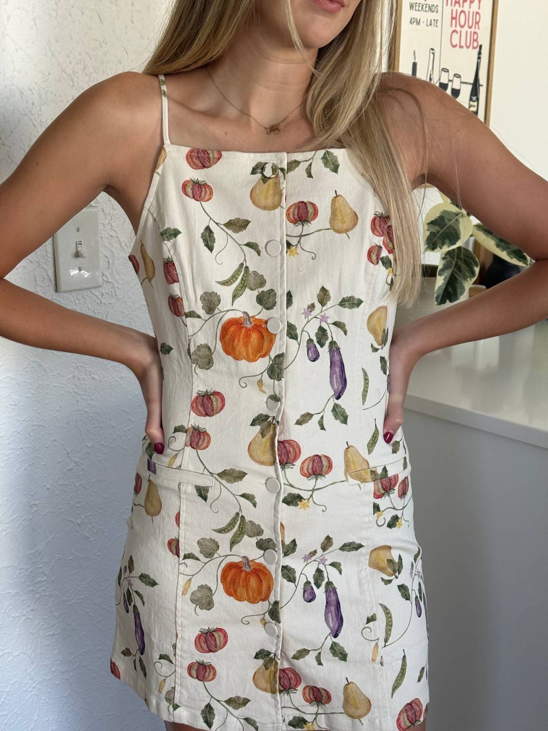 Bailey Rose - Opal Fall Harvest Buttoned Mini Dress