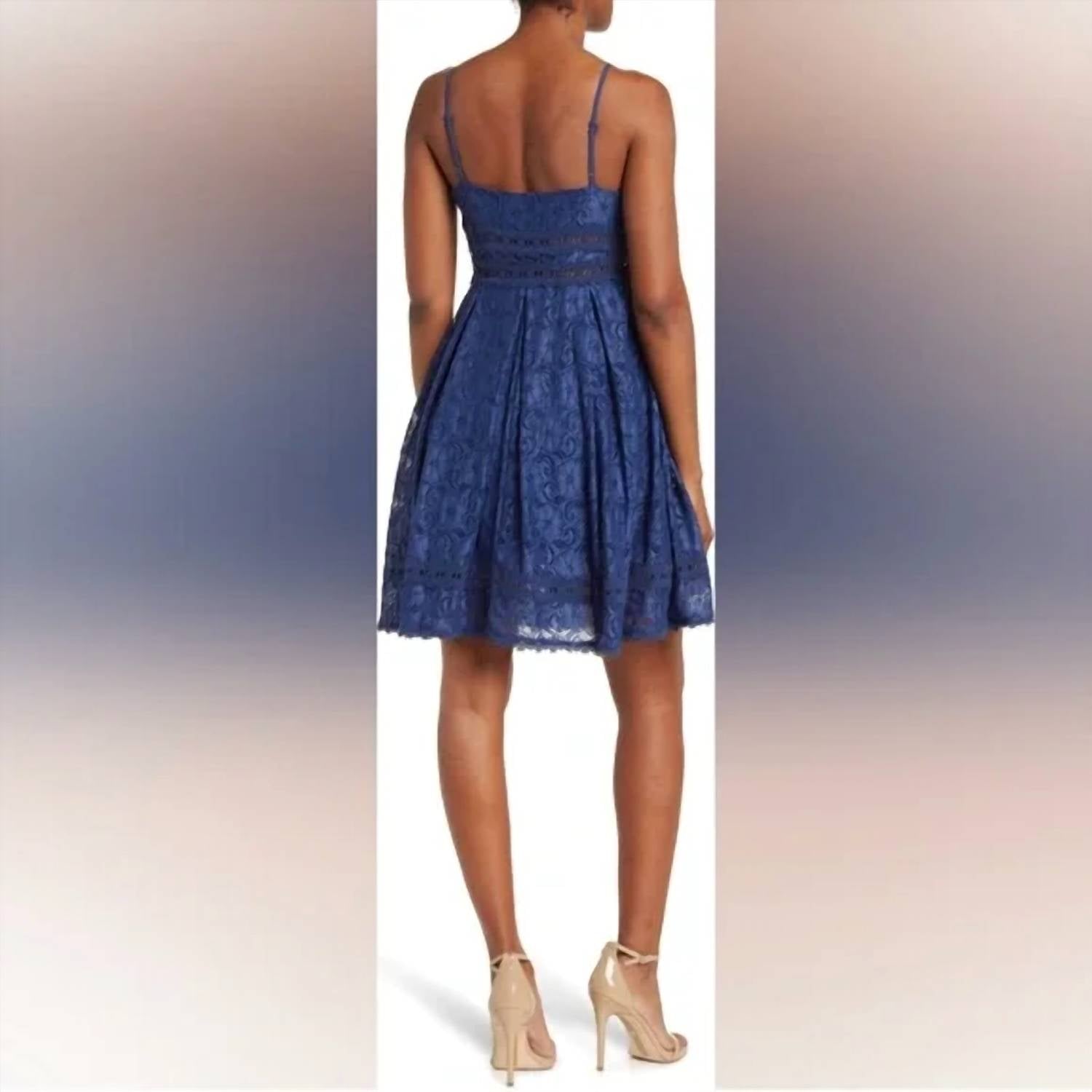 Nsr - Provance Stretch Lace Mini Dress
