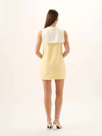 Roame - VALENTINA MINI DRESS