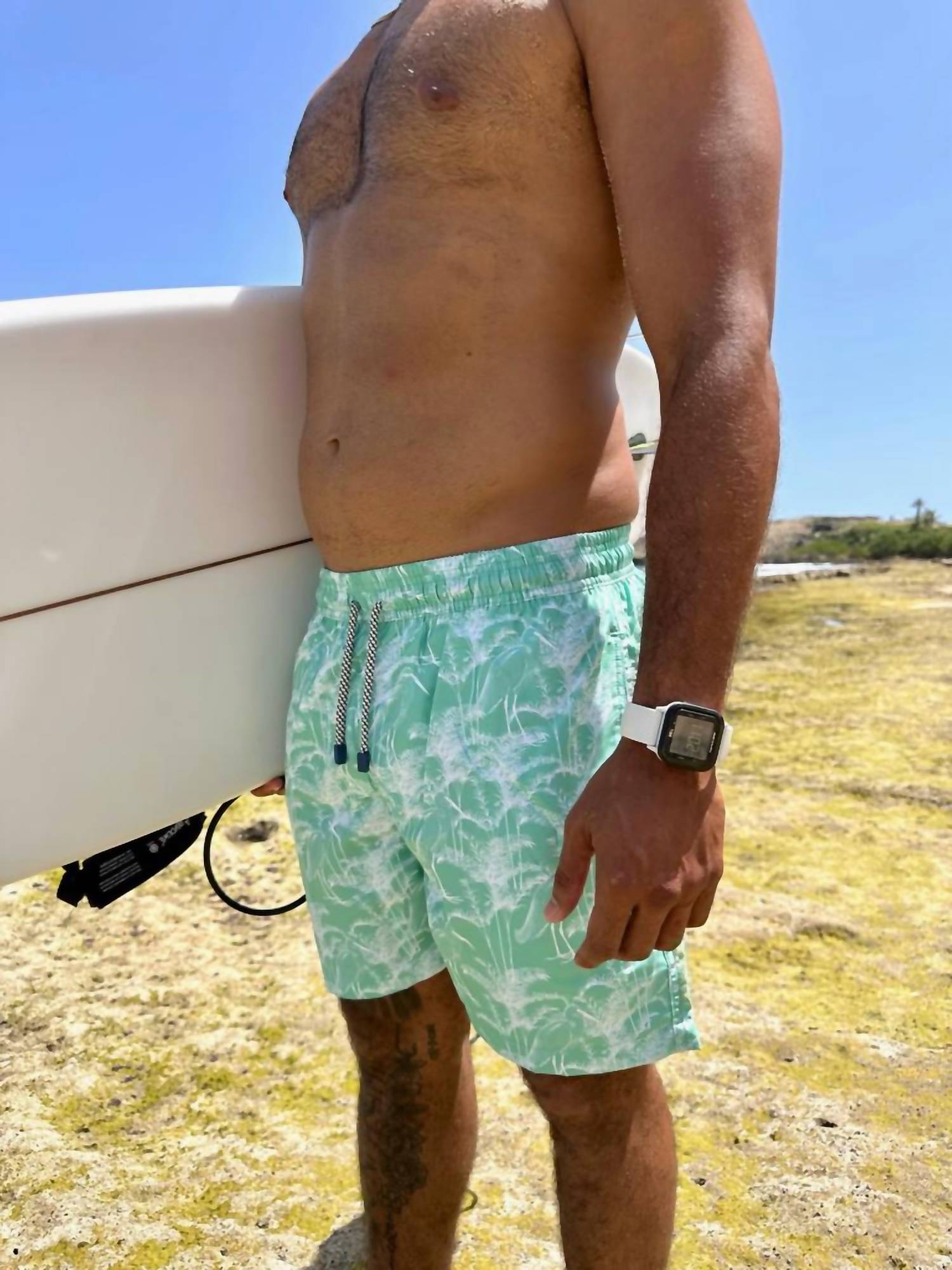Palmacea - Vuelo Swim Trunk