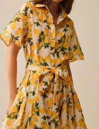 Q2 - Romantic Dress With Waistband And Lemon Print And Short Sleeves