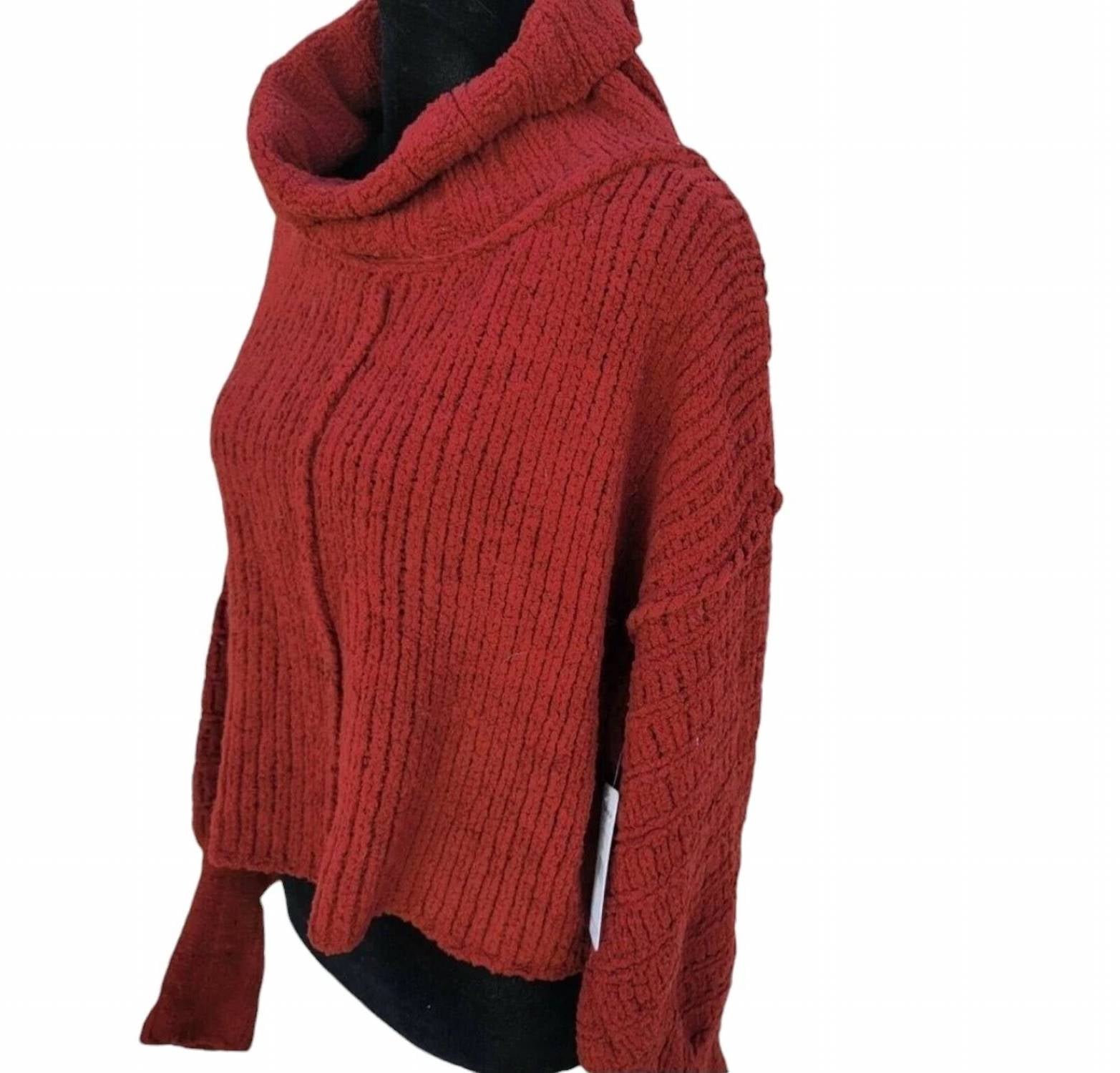 Free People - Knit Turtleneck Oversized Sweater