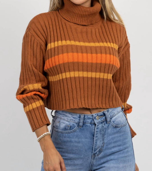 STRIPE TURTLENECK SWEATER