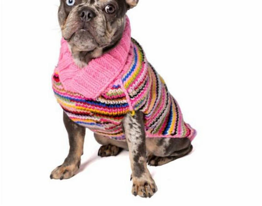 Chilly Dogs - Multi Colored Dog Sweater