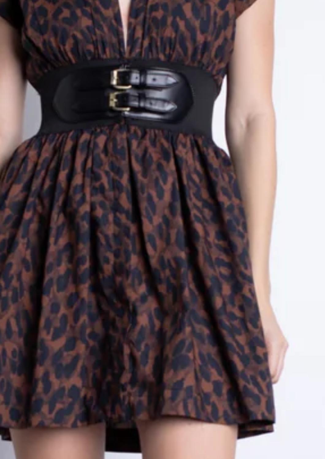 Karina Grimaldi - Briar Print Mini Dress