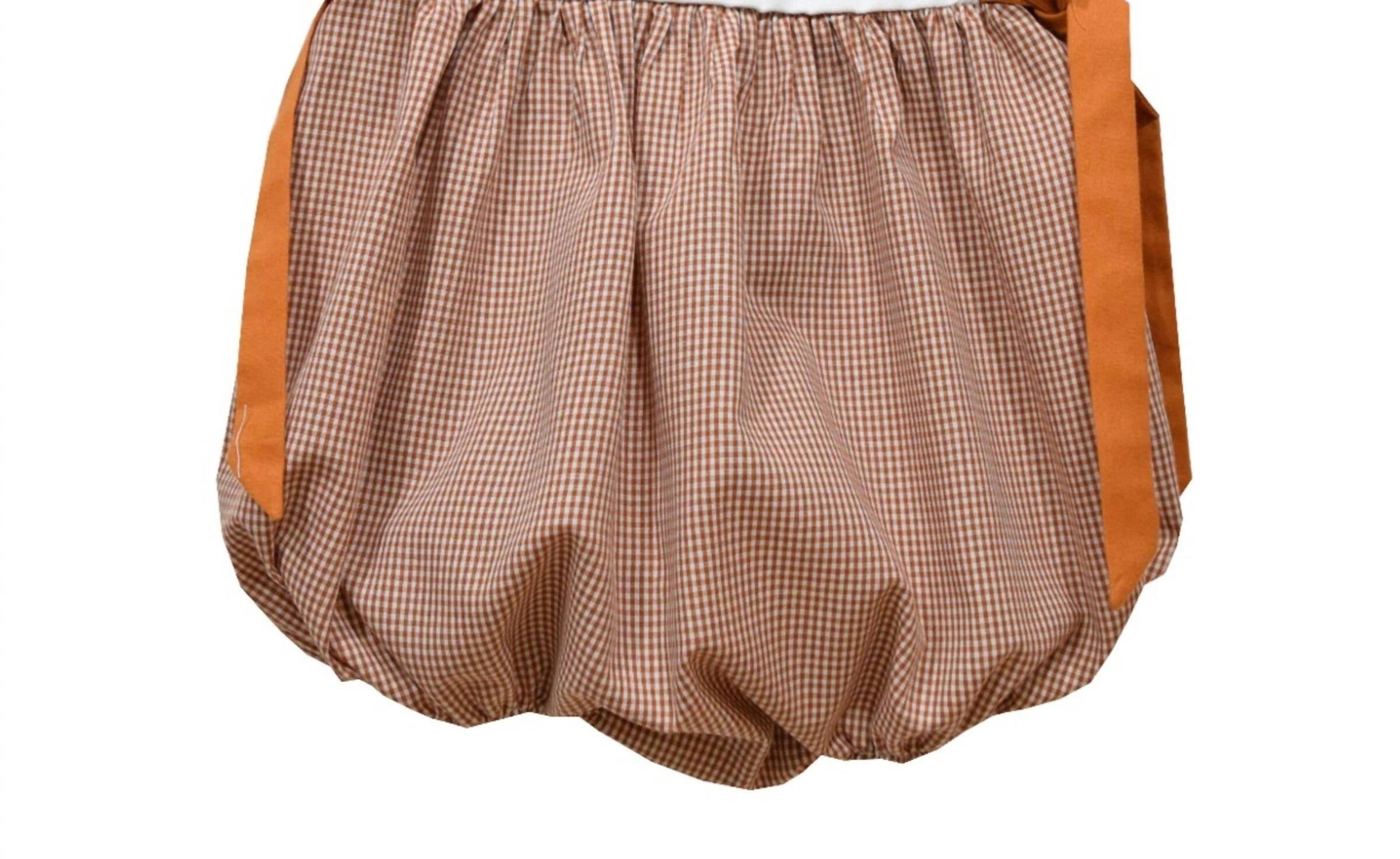 Vive La Fete - Girl's Texas Embroidered Gingham Bubble