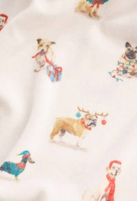 Z Supply - Classic Pup Jogger