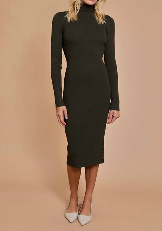 Gilli - Longsleeve Turtleneck Sweater Dress