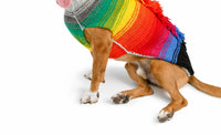 Chilly Dogs - Rainbow Mohawk Dog Sweater