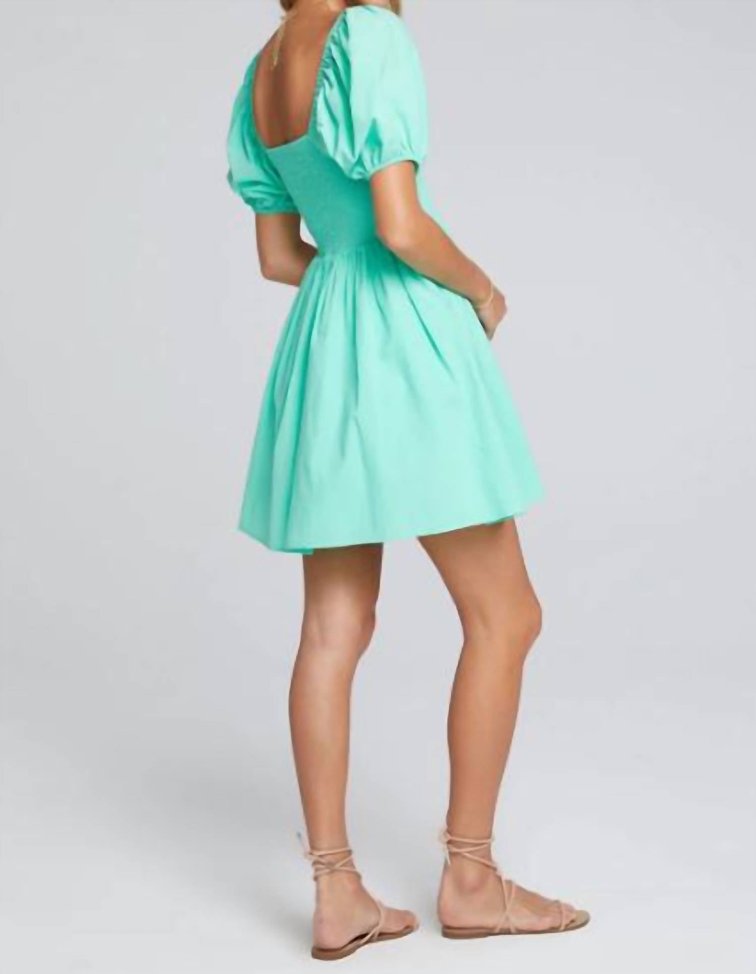 Saltwater Luxe - Ariana Mini Dress
