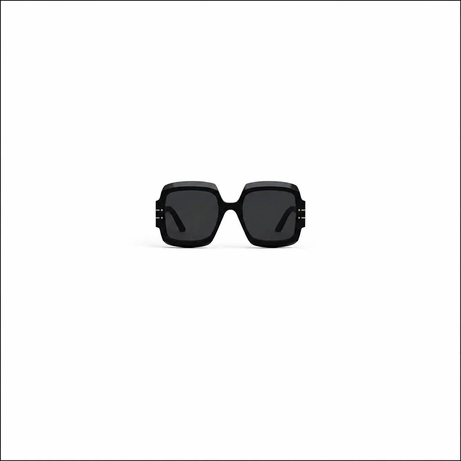 Christian Dior - Women's Diorsignature Sunglasses