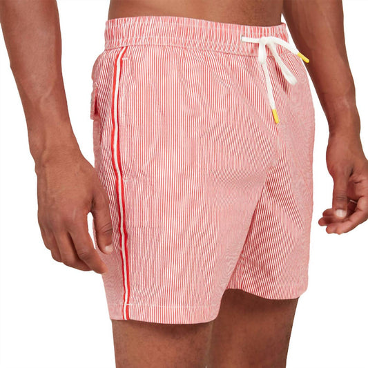 Hartford - Stripe Swim Trunks