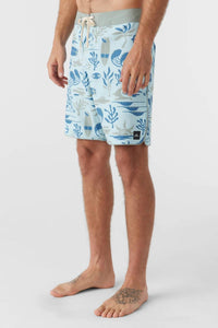 O'Neill - Hyperfreak Mysto Scallop Boardies