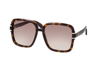 Gucci - Butterfly Non Polarized Sunglasses 1066s - 002