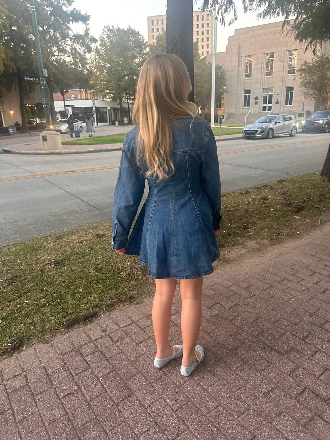 Olivaceous - Denim Button Down Mini Dress