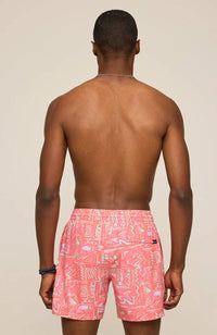 Chubbies - Pyramid Poolsides Classic Swim Trunk