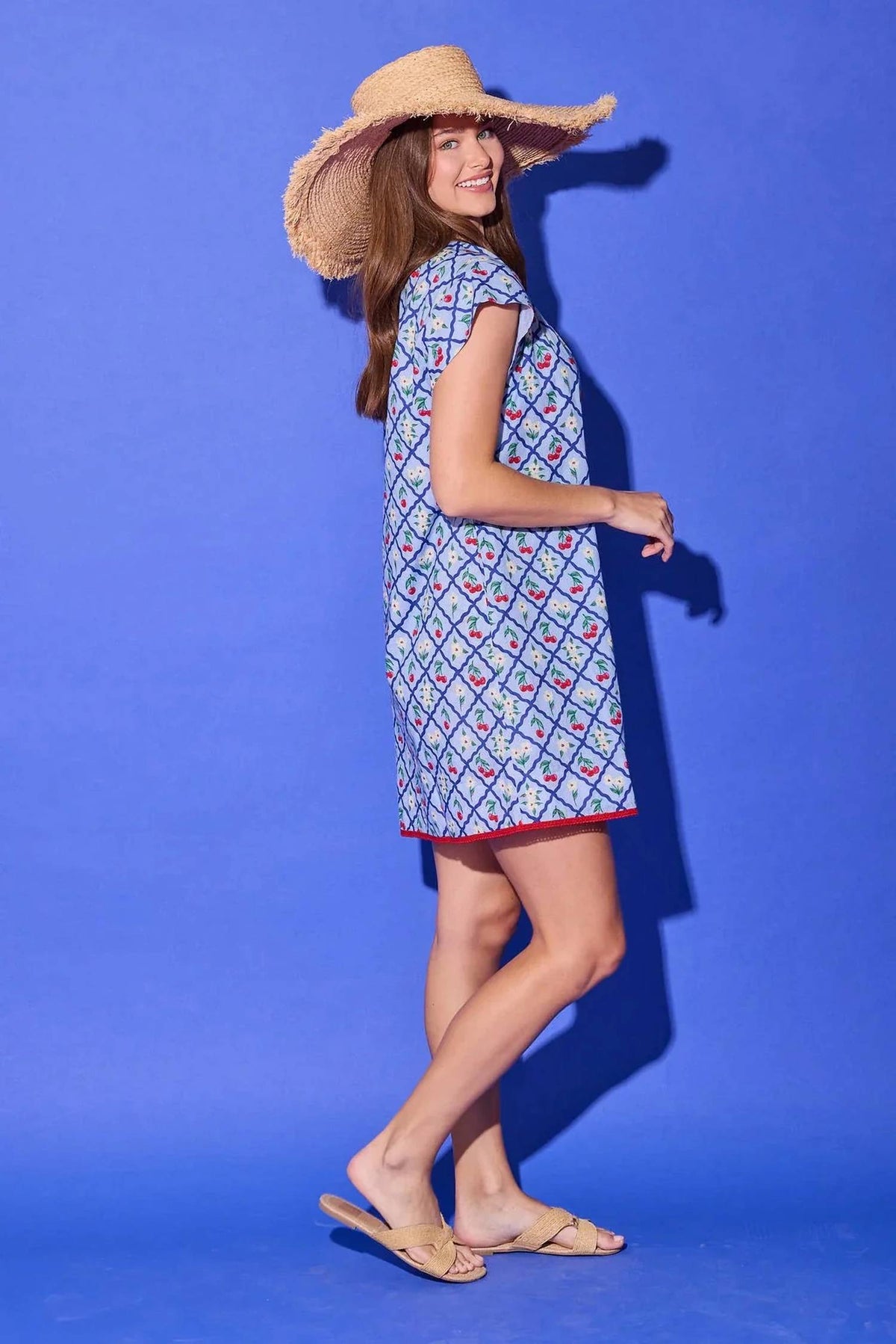 Alden Adair - Tucker Mini Dress