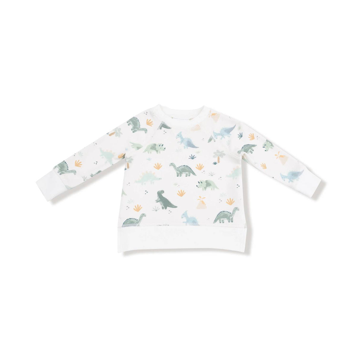 Angel Dear - Boys French Terry Raglan Sweatshirt & Jogger Set