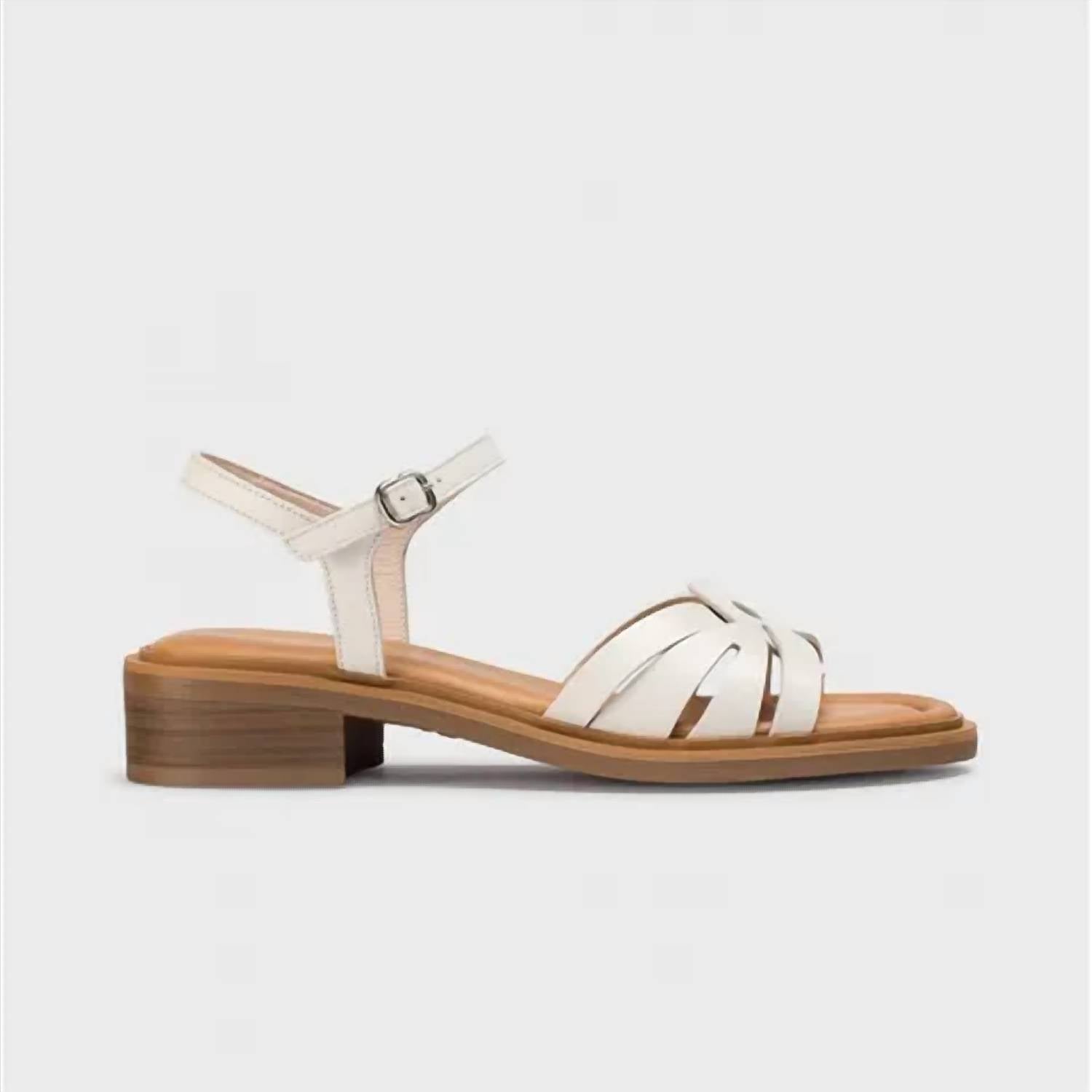 Wonders - B-9601 Iseo