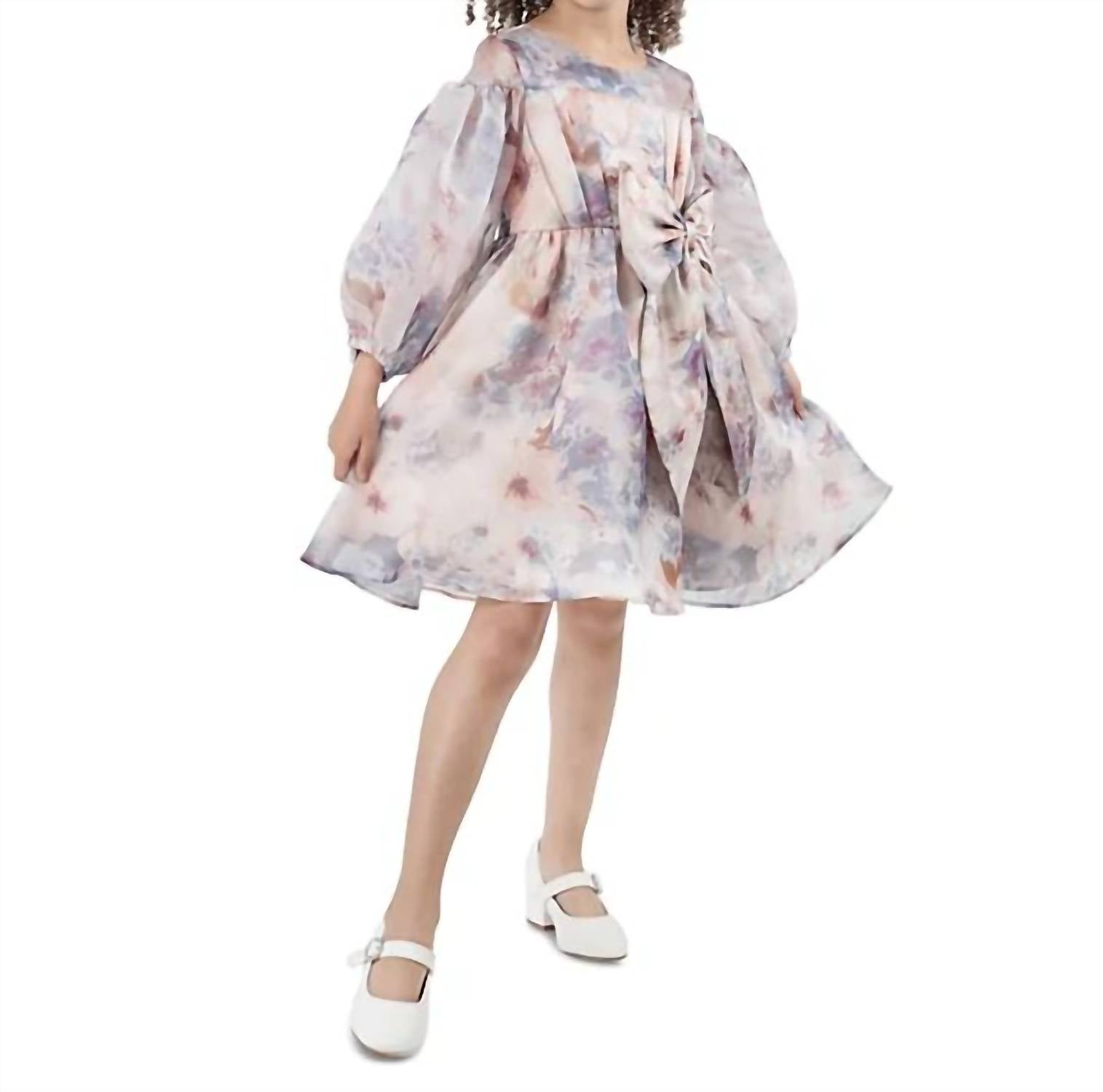 Rare Editions - Toddler & Little Girls Balloon Sleeve Floral Organza Dress