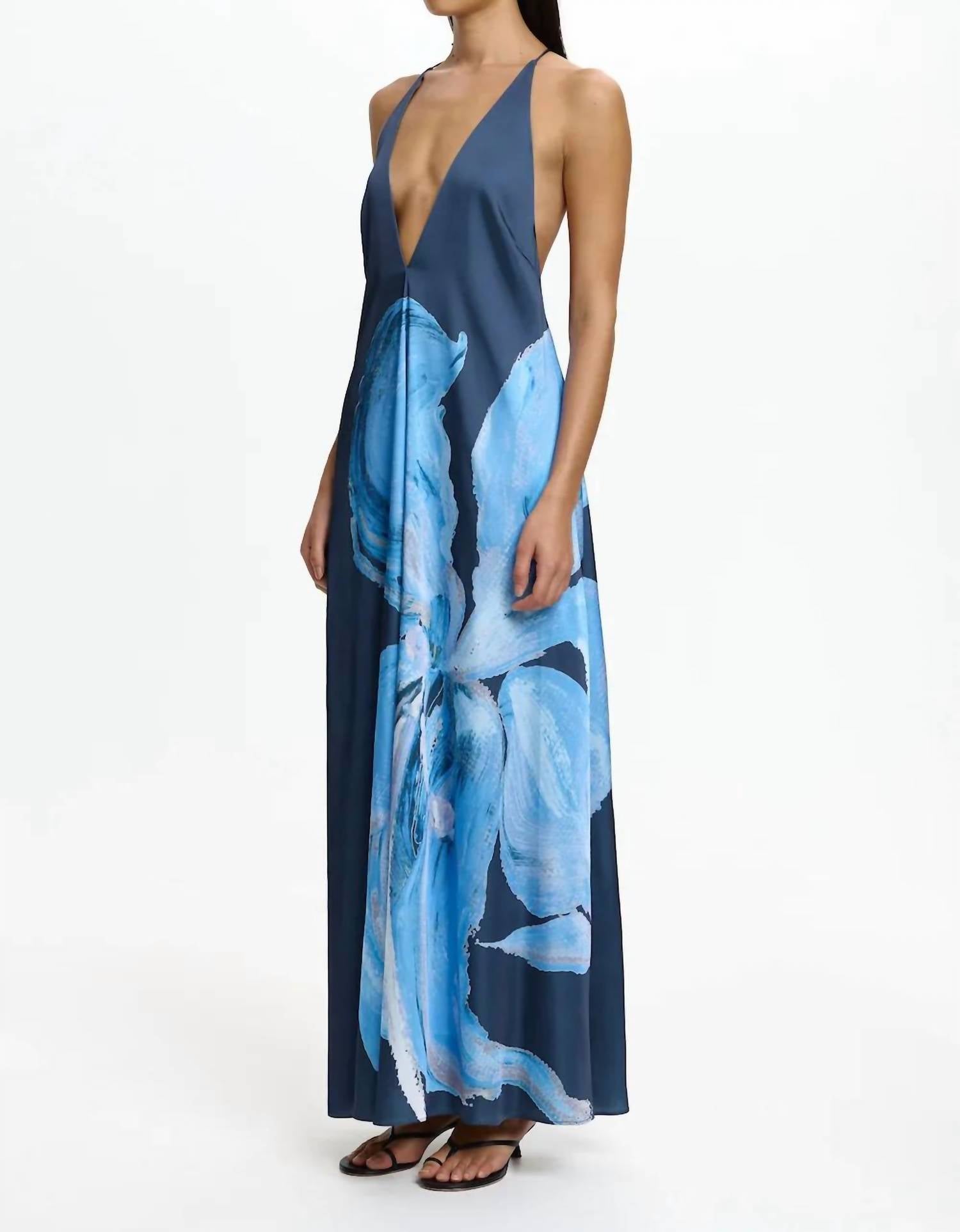 Significant Other - Casea Maxi Dress