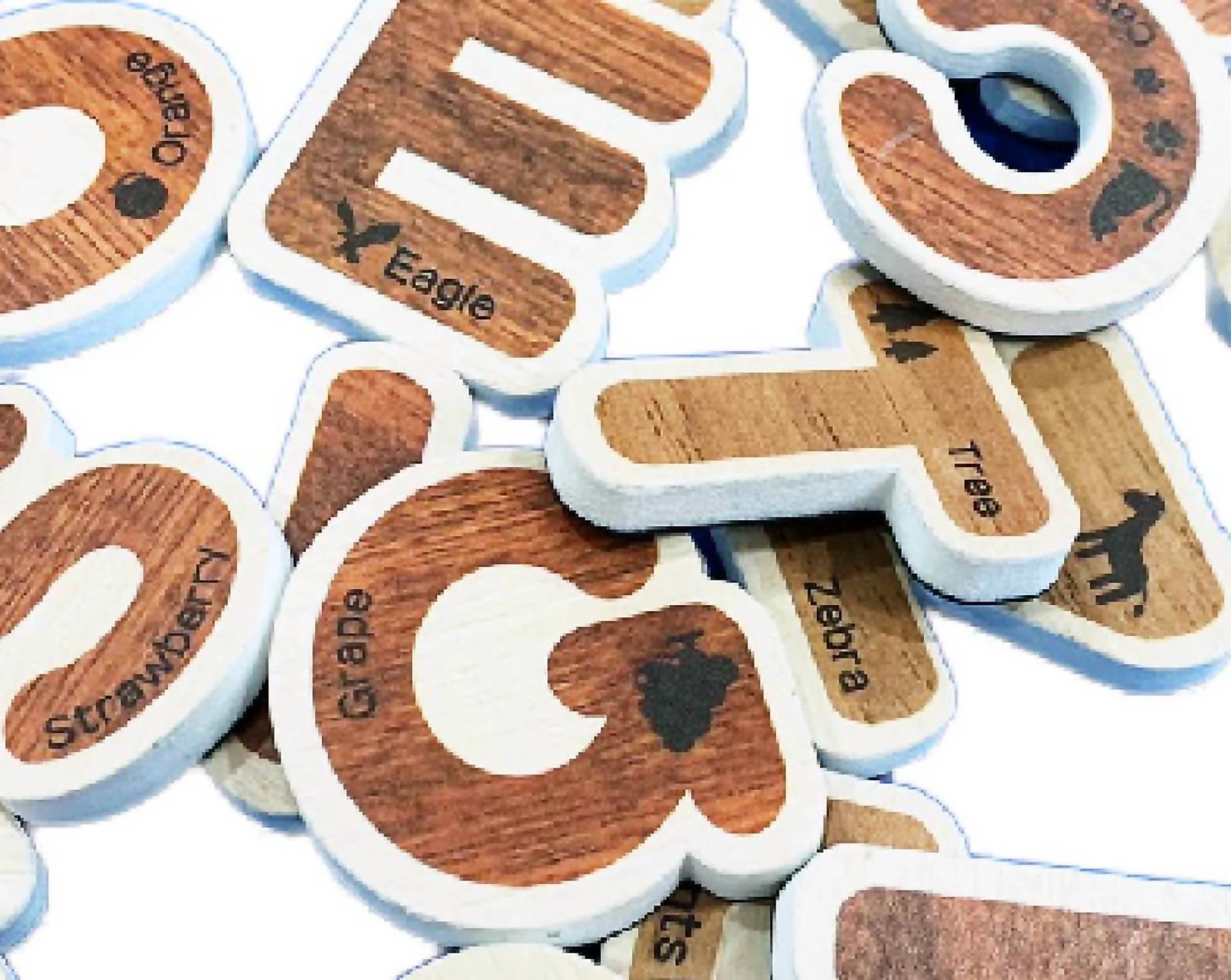Noriter Project - Forest Magnetic Alphabet