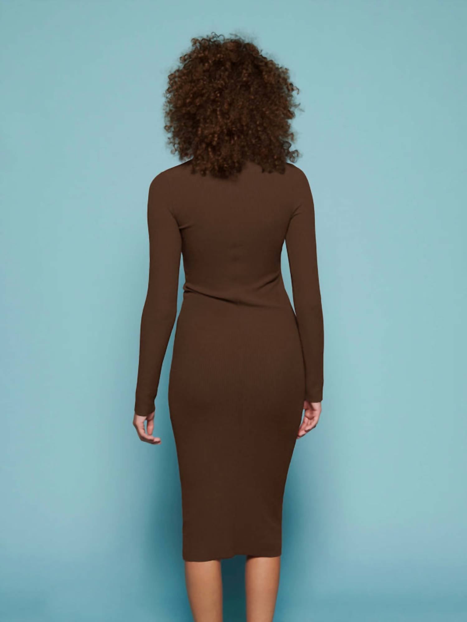 Nation Ltd - Phoebe Turtleneck Dress