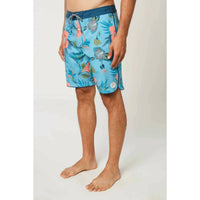 O'Neill - Foundation Cruzer Boardies