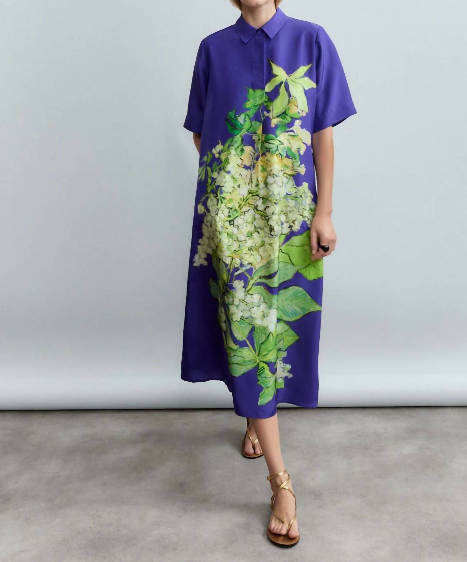 Psophia - Hydrangea Long Silk Dress
