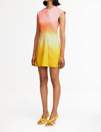 Acler - Warfield Mini Dress