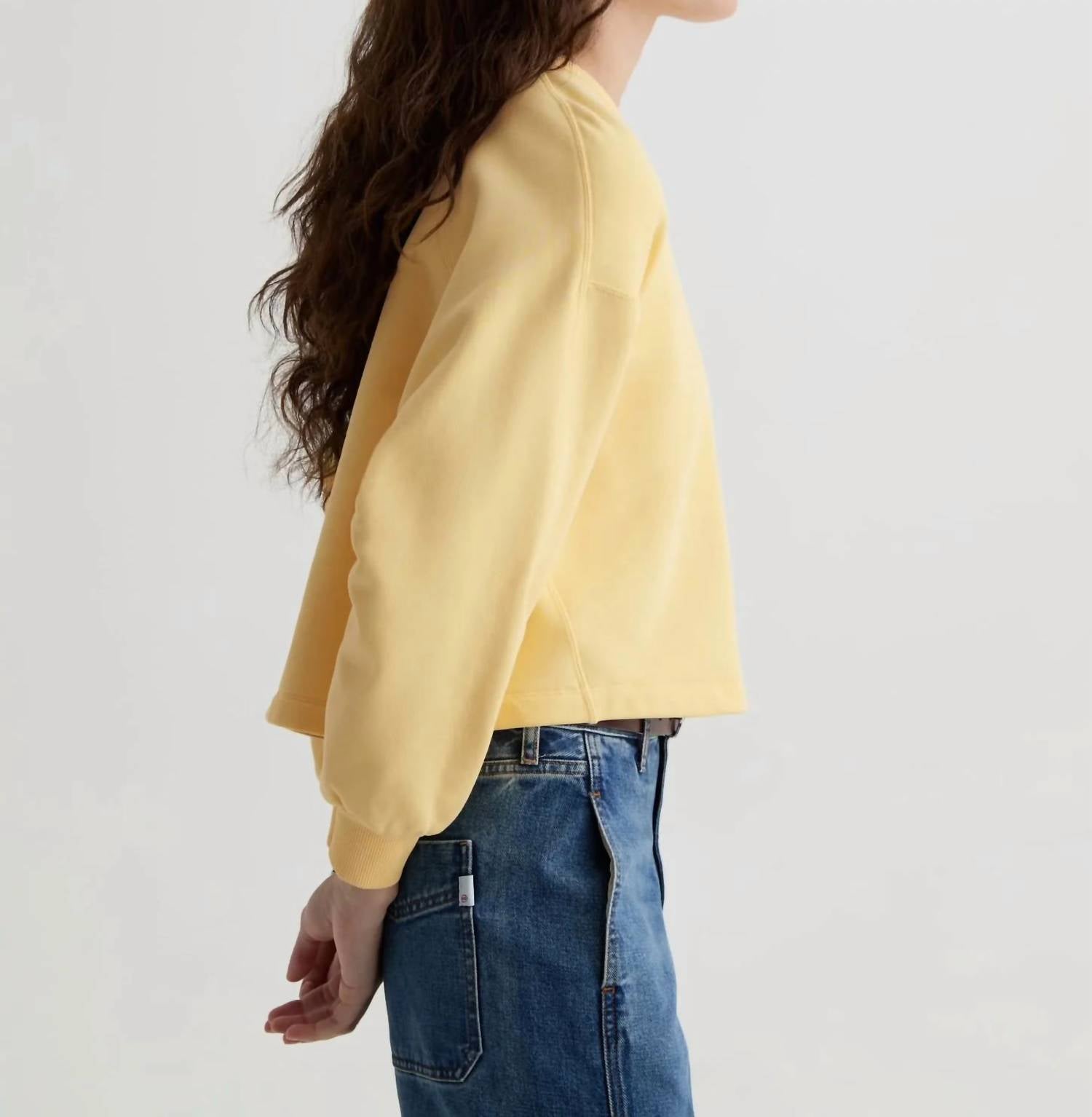 Ag Jeans - Roselle Sweatshirt