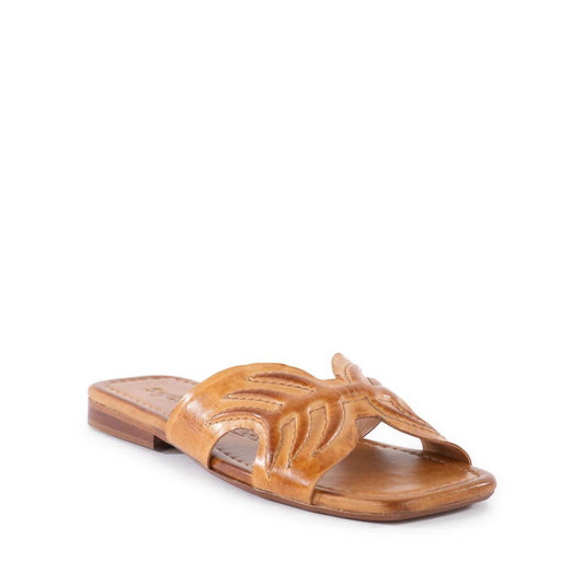 Seychelles - MADHU SANDAL