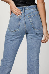 THE DISTRESSED DANIELLE JEAN
