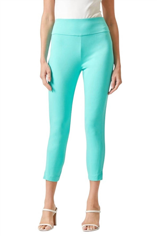 Dear Scarlett - MAGIC HIGH WAISTED SKINNY PANT 26"