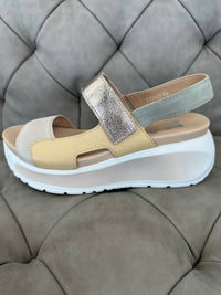 Callaghan - Women's Pesca Shoes