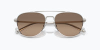 Oliver Peoples - Rivetti Polarized Sunglasses Ov1335st 5036gn