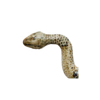 Creative Co-Op - Reactive Glaze Ceramic Snake Decor
